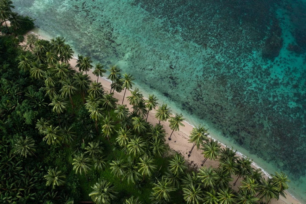 Mauritius lagoon, palm coastline and island scenery